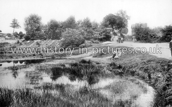 Royal Oak Pond, High Beech, Essex. c.1905